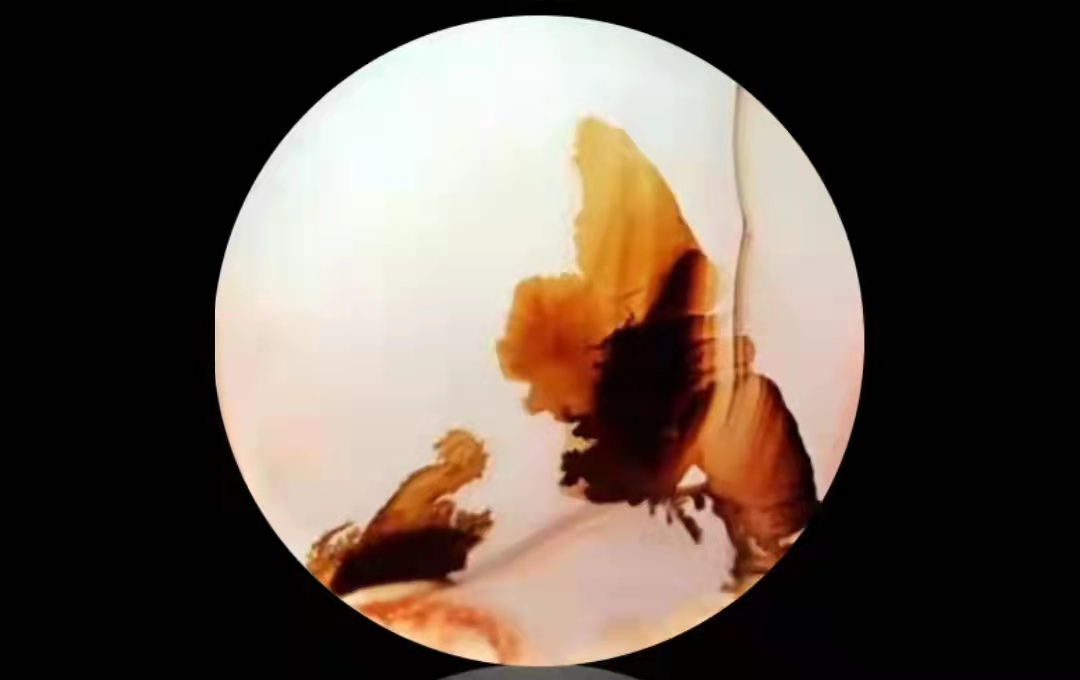 膜拜
