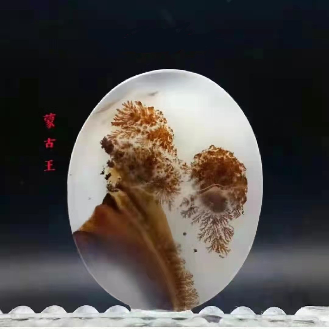 蒙古王