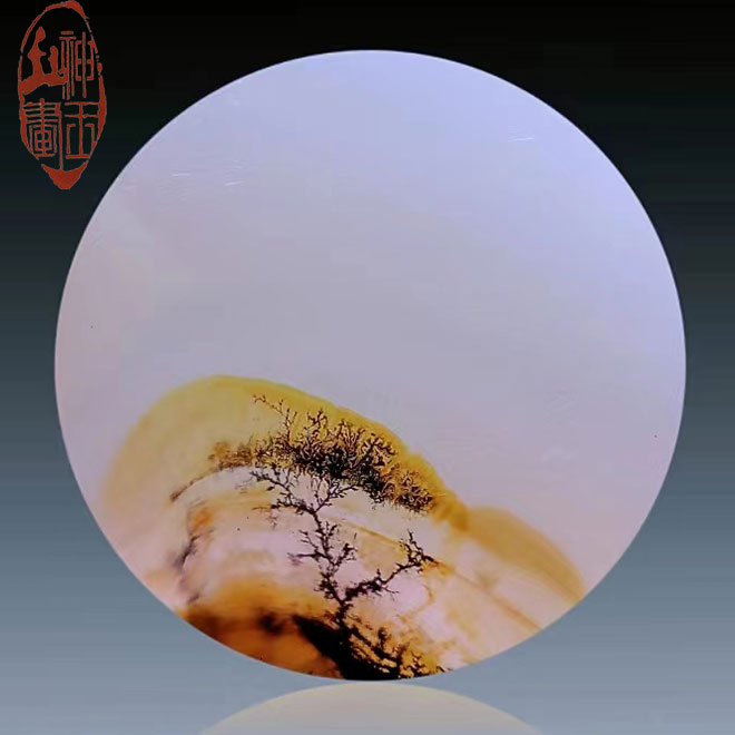 天若有情