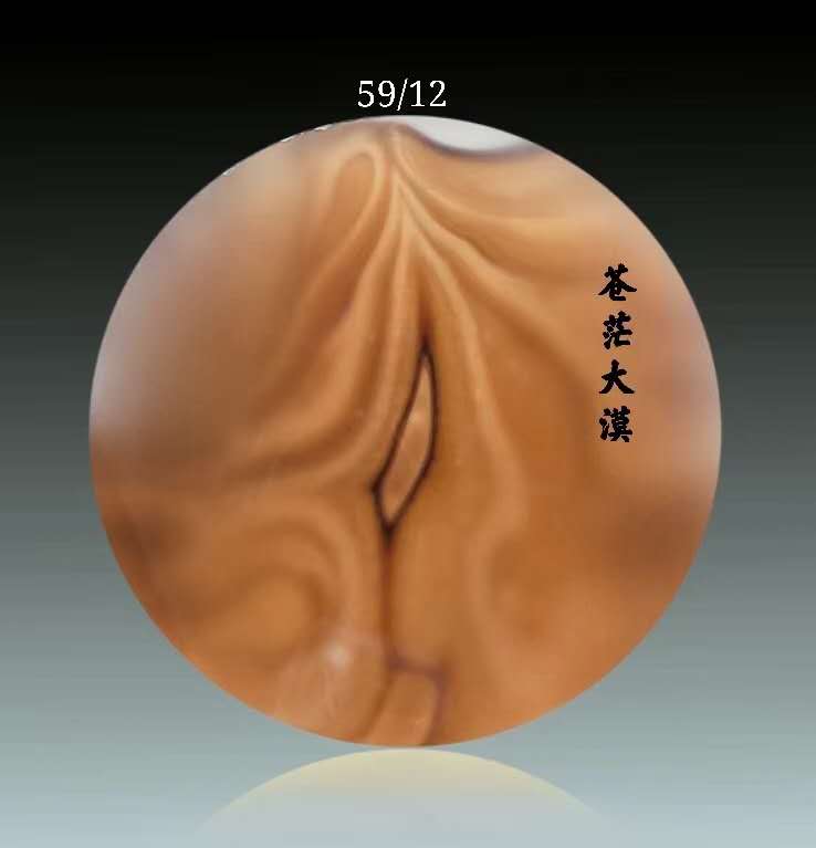 蒼茫大漠