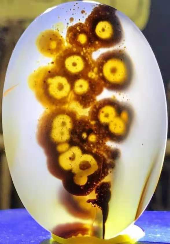 水中蜉蝣