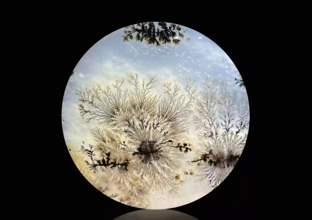 雪松
