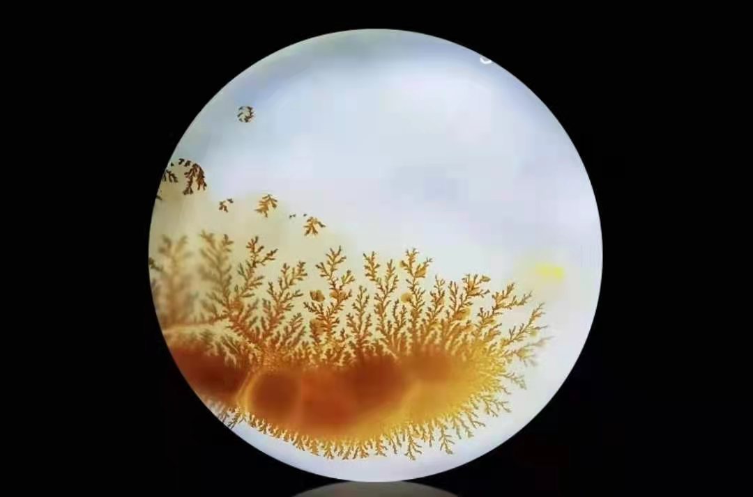 海草黃