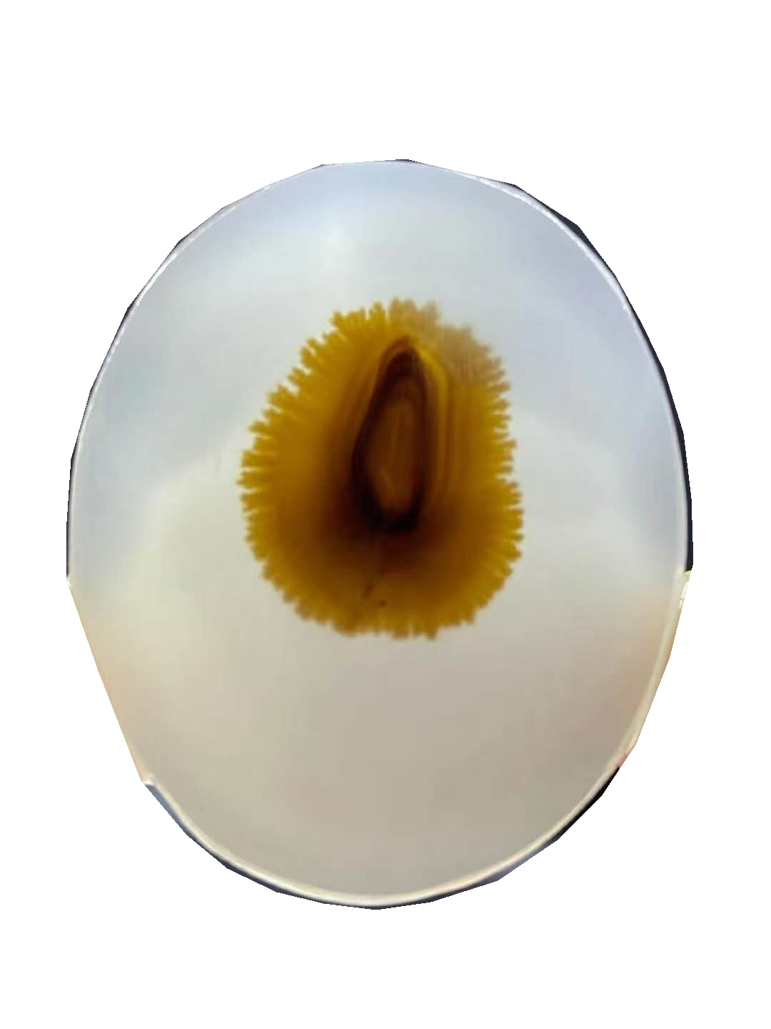 沉睡