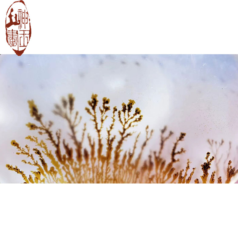 水草櫻花