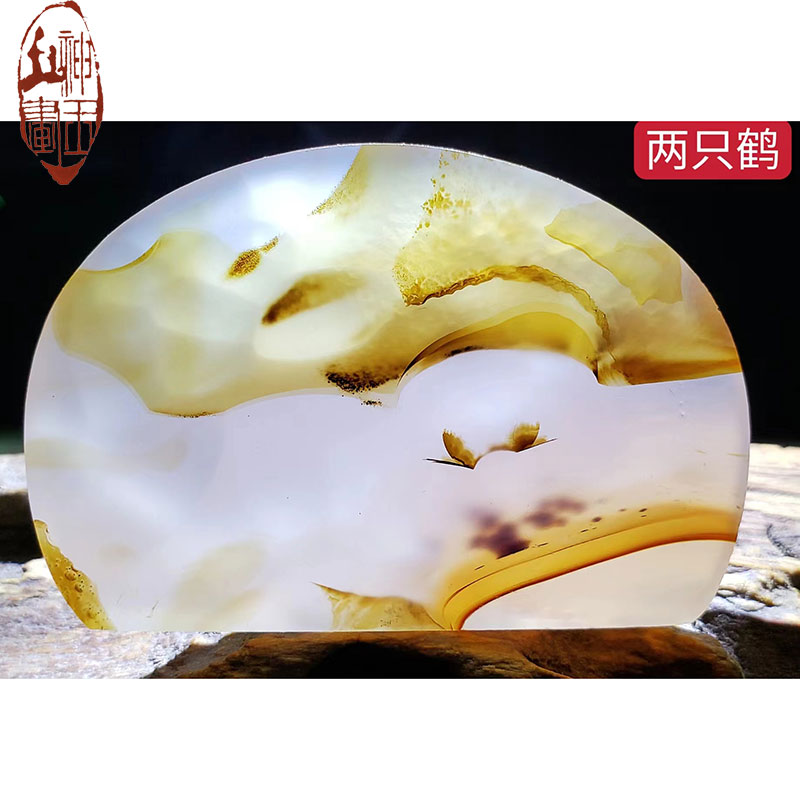兩只鶴