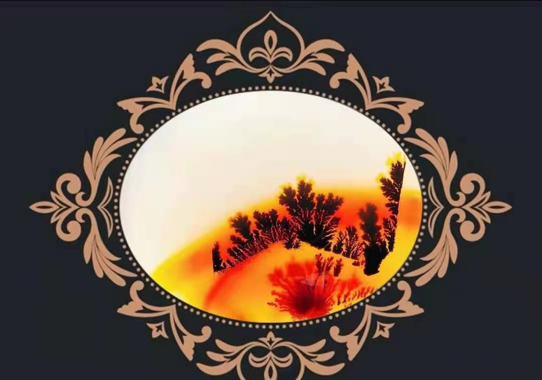 紅樹(shù)林